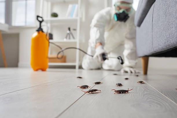 Trusted Cockroach Control service in Southworth, WA - Nex Pest Control