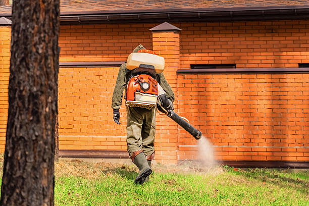 Trusted Mosquito Control service in Southworth, WA - Nex Pest Control
